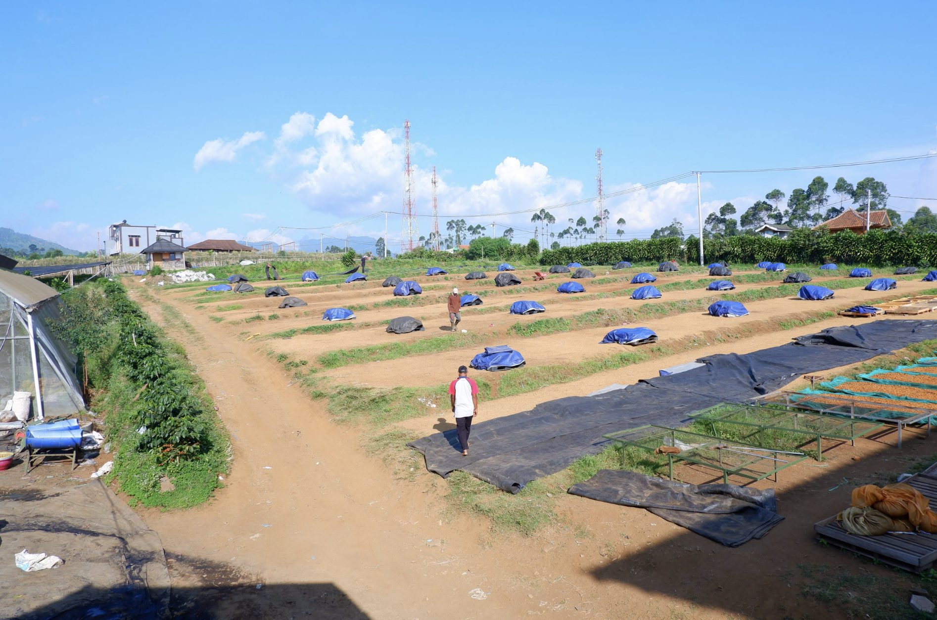 AIS and Frinsa Formalize Partnership to Bring Indonesian Coffee to Canada